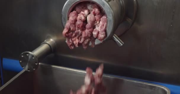 Duże kawałki mięsa mielonego wychodzą z maszynki do mielenia mięsa, aby zrobić kiełbasę — Wideo stockowe