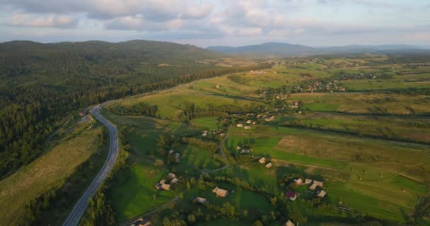 Les Carpates. À la campagne. Forêts d'épinettes. — Video