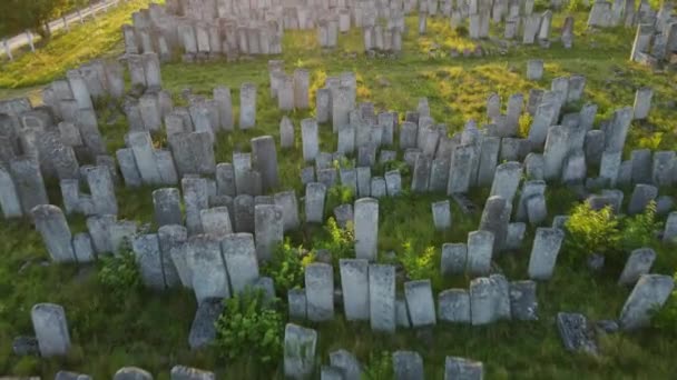 Aerial shot city Brody. Jewish cemetery. Ukraine — Stock Video