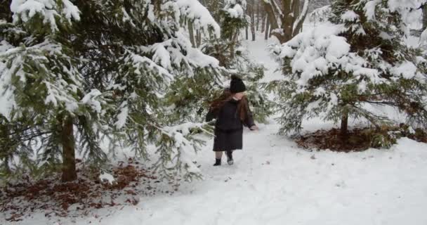 雪の公園で男の子と女の子が遊んでいる — ストック動画