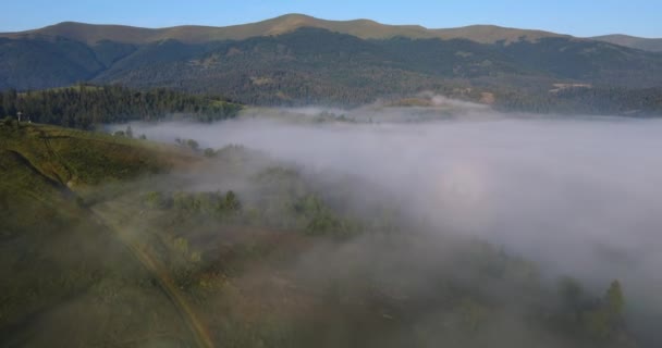 The mountains of the Carpathians at dawn are covered with thick fog — Video Stock