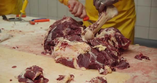 소시지 가게에서는 고기를 뼈에서 분리하여 가공한다 — 비디오