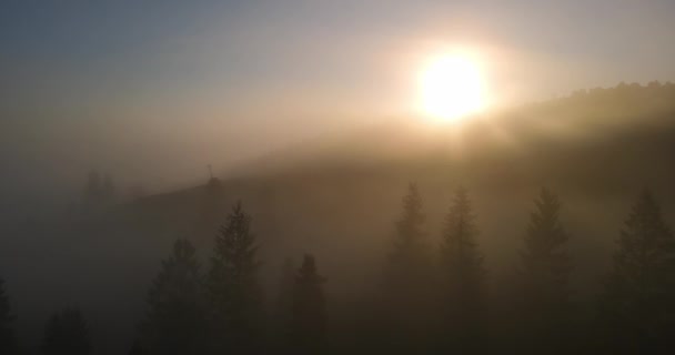 De zon breekt door de dikke mist in het bos hoog in de bergen — Stockvideo