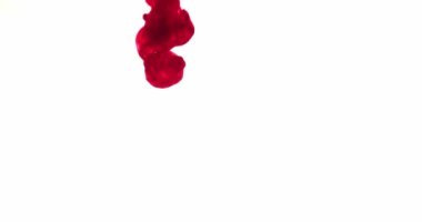 Red blood flows on a white background
