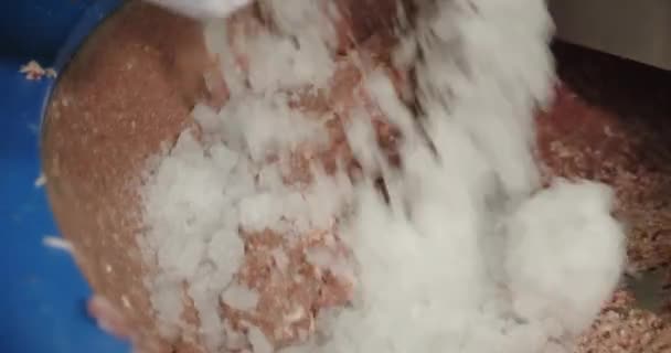 Ice is added to the minced meat with spices and mixed to homogeneous consistency — Stockvideo