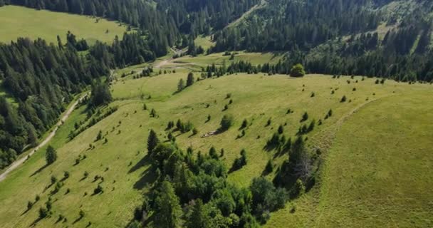 Flug über mit dichten Wäldern bewachsene Berge — Stockvideo