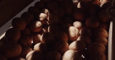 Open a wooden box with walnuts