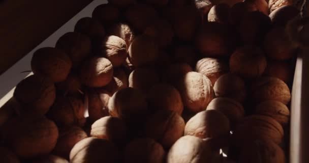 Open a wooden box with walnuts — Vídeos de Stock