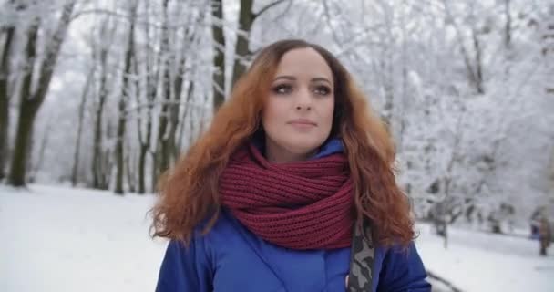 A young girl walks in a snowy park and meets other people — Vídeo de Stock
