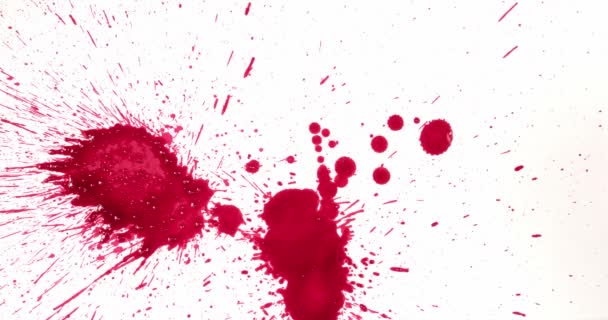 Salpicaduras de sangre roja en un lienzo blanco — Vídeo de stock