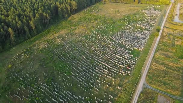 Vue aérienne de la ville Brody. Cimetière juif. Ukraine — Video