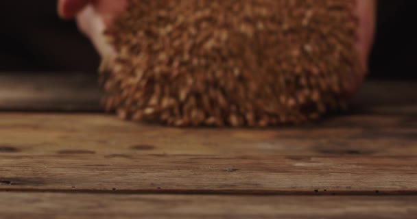 Налити гречку з мішка на дерев'яний стіл — стокове відео