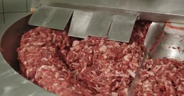 Macchina per la lavorazione della carne macinata. Filmati 4k di alta qualità — Video Stock