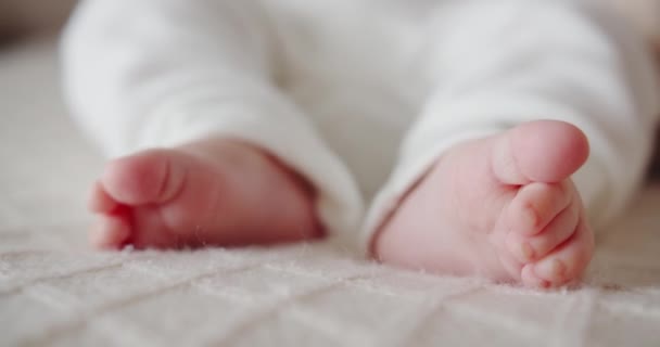 Yeni doğan bir bebeğin küçük bacaklarını — Stok video