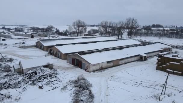 L "élevage est couvert de neige — Video