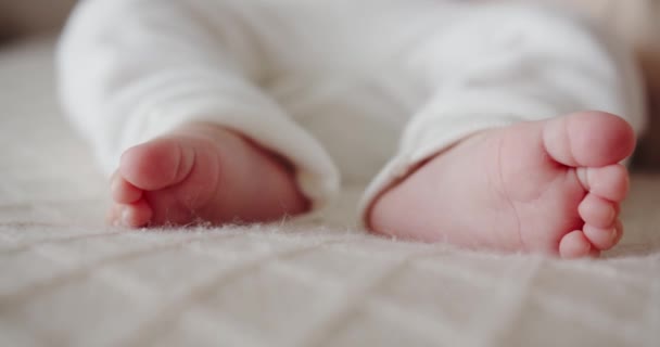 Piernas pequeñas de un bebé recién nacido — Vídeos de Stock