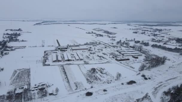 Une grande ferme laitière pour la reproduction des vaches est recouverte de neige. Vue du dessus. — Video