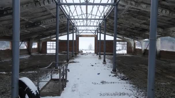 建造一座饲养牲畜的新建筑 — 图库视频影像