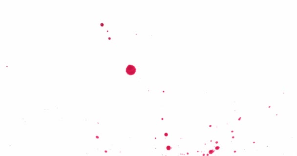 Splashes Of Red Paint On A White Background — Stock Video