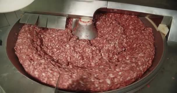 Nakrájejte maso, kuře a koření ve velké odstředivce. — Stock video
