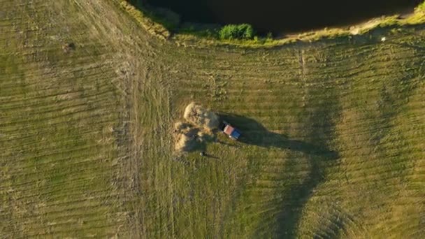 People in the field gather hay and put it on a cart attached to a tractor — Video