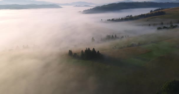 Köd a hegyekben borítja az egész felszínt. Kárpátok — Stock videók