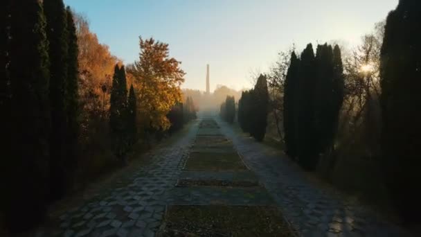 ウクライナの秋の都市。栄光の記念館で霧で夜明け。空中射撃 — ストック動画