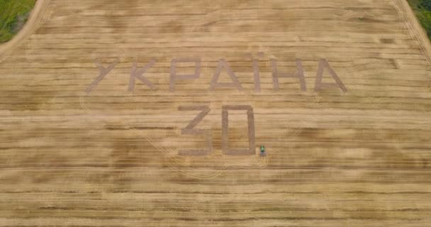 Tractor Fluttered Inscription On Wheat Field Until Independence Day Of Ukraine — стокове відео