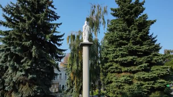 空中から市内を撮影した。記念碑列の聖母に敬意を表します。ウクライナ — ストック動画