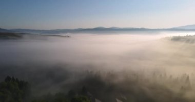 Karpat Dağları, yoğun bir şekilde ormanlarla kaplı. Sis