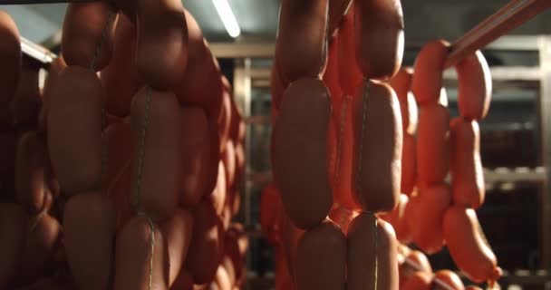 The sausages were placed in a thermal chamber for smoking — Stockvideo