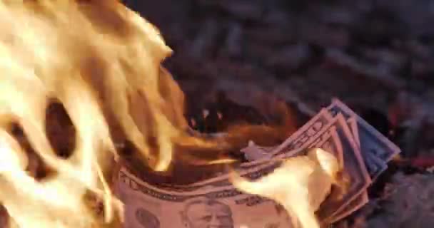 Money is burning on the fire — Vídeo de stock