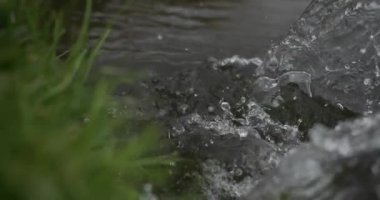 El nehirdeki suyu doldurur ve 4 bin dolar sıçratır.