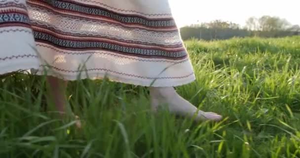 Une Fille Robe Ukrainienne Nationale Marche Sur Herbe Coucher Soleil — Video