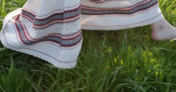 Dziewczyna Narodowej Ukraińskiej Sukience Chodzi Trawie Zachodzie Słońca — Wideo stockowe