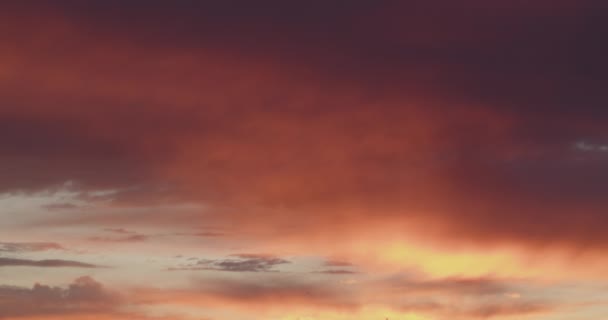 Pôr Sol Rosa Fundo Nuvens Imagens Alta Qualidade — Vídeo de Stock