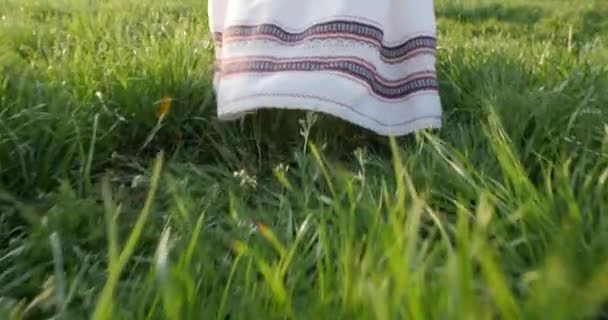 Uma Menina Vestido Ucraniano Nacional Caminha Grama Pôr Sol — Vídeo de Stock