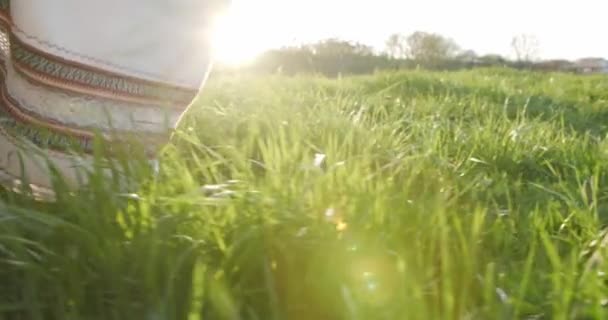 日落时分 一位身着乌克兰民族服装的女孩在草地上散步 — 图库视频影像