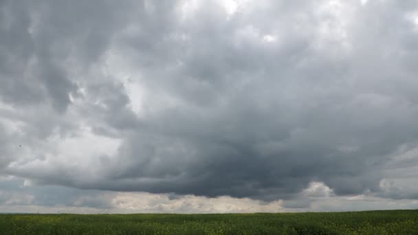 Nuages Pluie Dans Champ Colza Timelapse — Video