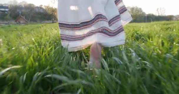 Une Fille Robe Ukrainienne Nationale Marche Sur Herbe Coucher Soleil — Video