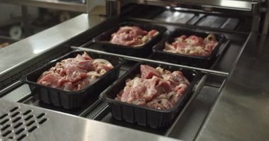 Plastik bir kapta porsiyonlu şiş kebap paketliyorum. Yüksek kalite 4k görüntü