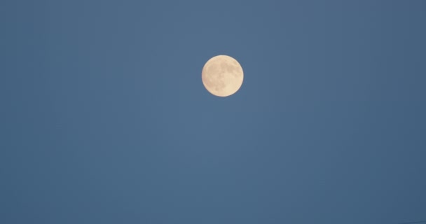 Uma Lua Cheia Apareceu Céu Azul Noite — Vídeo de Stock