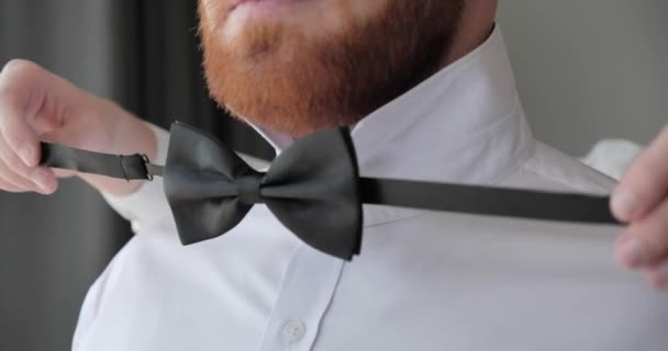 Gallant Gentleman Wears Black Bow Tie His Neck — Stock Video