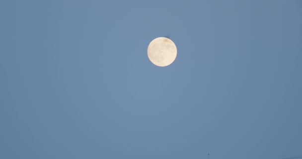 Lua Cheia Apareceu Céu Azul — Vídeo de Stock