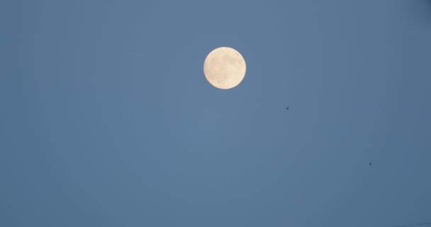 Full Moon Appeared Blue Sky — Video