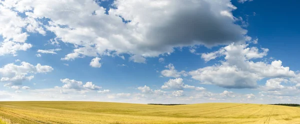 Ukrayna doğasının manzaraları. Mavi bulutların arkaplanındaki alan
