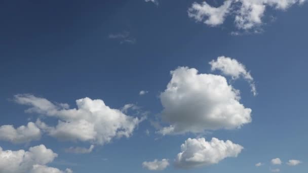 Chmury Cumulus Biały Niebieskim Niebie — Wideo stockowe