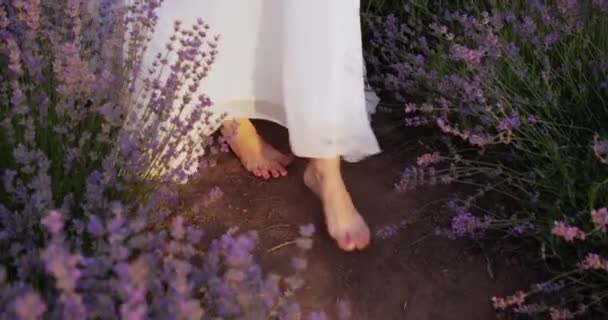Girl Walks Field Bare Feet — Stockvideo
