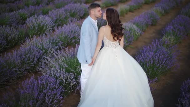 Gelukkig Pasgetrouwden Liefde Teder Kus Een Bloemenveld — Stockvideo
