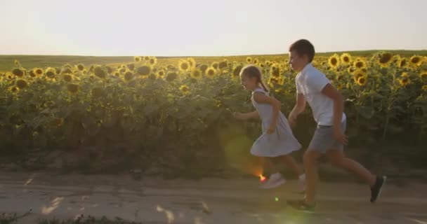 Çocuklar Kovalamaca Oynarken Eğleniyorlar — Stok video
